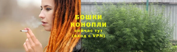 таблы Козельск