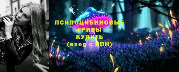 таблы Козельск