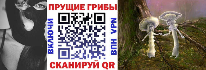 Галлюциногенные грибы Psilocybine cubensis  Купить  Усть-Катав 