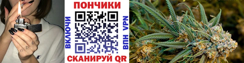 Купить где  Усть-Катав  Бошки Шишки сатива 